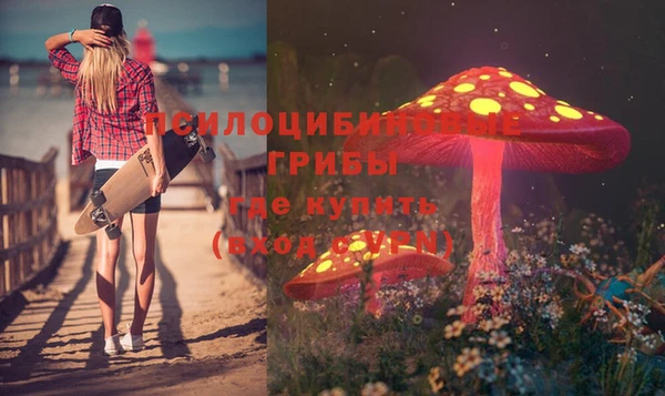 таблы Лабытнанги